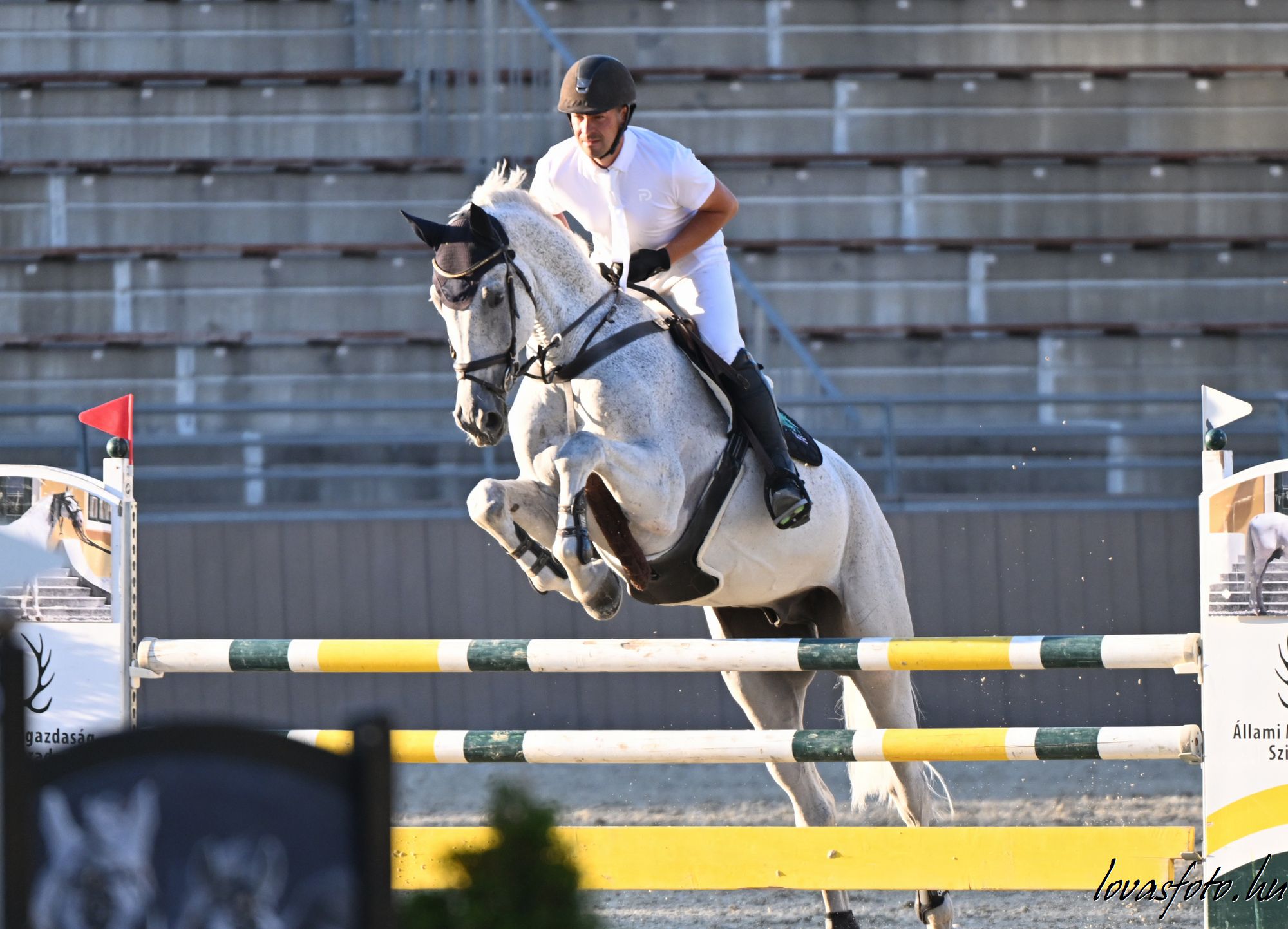 horse
